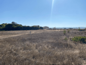 Parcela de Agrado en Algarrobo - VENTA DE PARCELA EN CONDOMINIO SAN GERÓNIMO-5 Parcela de Agrado en Algarrobo - VENTA DE PARCELA EN CONDOMINIO SAN GERÓNIMO-5