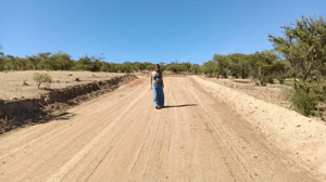 Terreno en Litueche - Vende parcelas de 5 mil mt2, con rol, en proyec...-4 Terreno en Litueche - Vende parcelas de 5 mil mt2, con rol, en proyec...-4