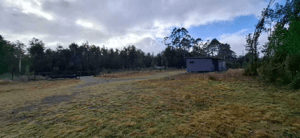 Parcela de Agrado en Puerto Varas - Terreno Amplio Ideal para Tu Proyecto (170350)-3 Parcela de Agrado en Puerto Varas - Terreno Amplio Ideal para Tu Proyecto (170350)-3