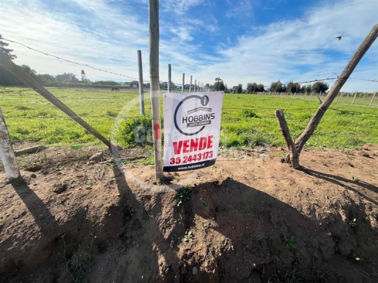 -1