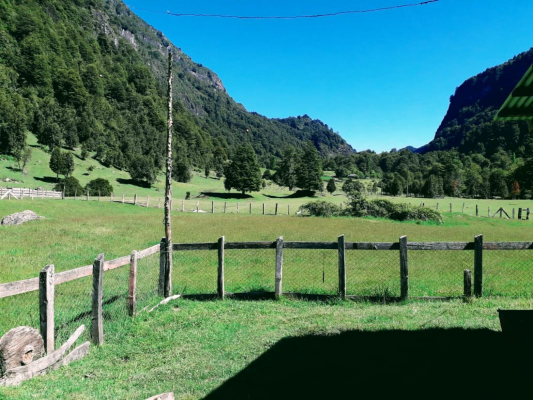-1