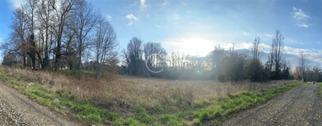 -1