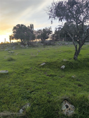 -1