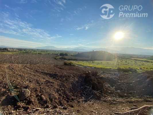 -1