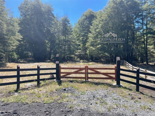 -1