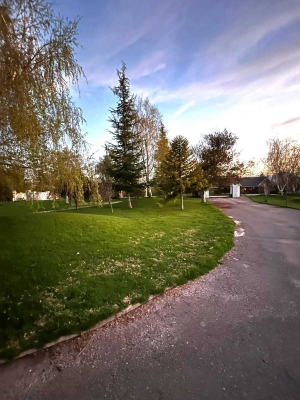 -1