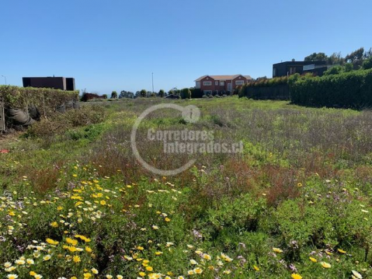 -1
