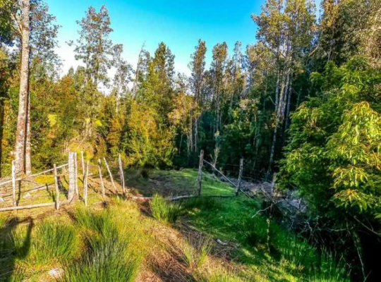 -1