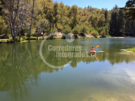 Parcela de Agrado en Curicó - 114103625-1 Parcela de Agrado en Curicó - 114103625-1
