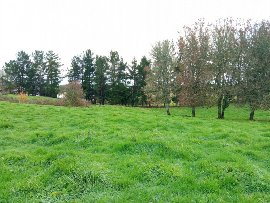 Terreno en Ancud - 394745-1 Terreno en Ancud - 394745-1