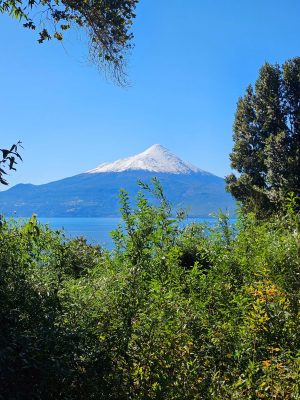 Parcela de Agrado en Puerto Varas - Parcela 5.000 m2, vista volcán Osorno y Lago (...-1 Parcela de Agrado en Puerto Varas - Parcela 5.000 m2, vista volcán Osorno y Lago (...-1