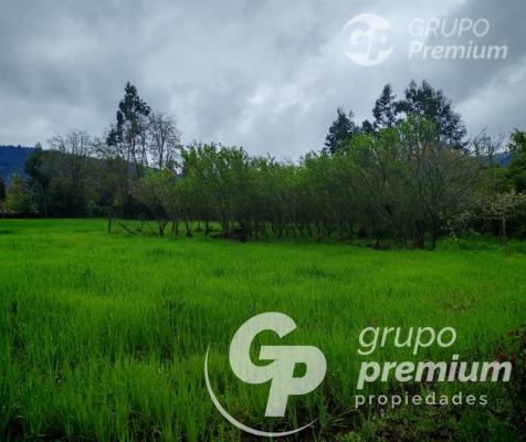 Parcela de Agrado en Curicó - 114074411-1 Parcela de Agrado en Curicó - 114074411-1