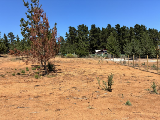 Terreno en Algarrobo - 42499-1 Terreno en Algarrobo - 42499-1