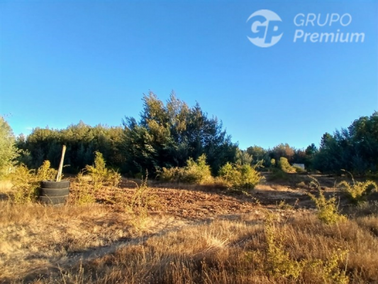 Terreno en Pinto - 104074422-1 Terreno en Pinto - 104074422-1