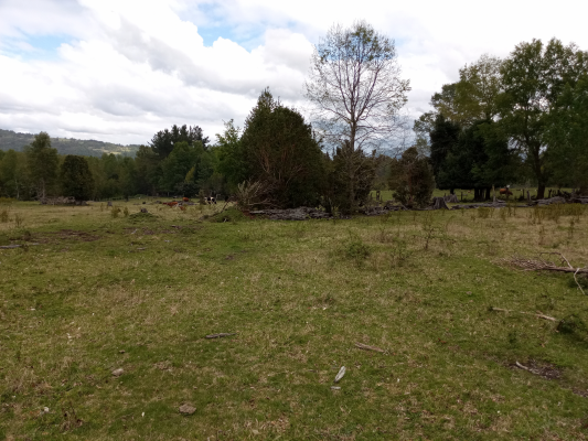Parcela de Agrado en Villarrica - PARCELAS CUDICO 15 KM DE LICAN RAY, LINDO Y TRA...-1 Parcela de Agrado en Villarrica - PARCELAS CUDICO 15 KM DE LICAN RAY, LINDO Y TRA...-1
