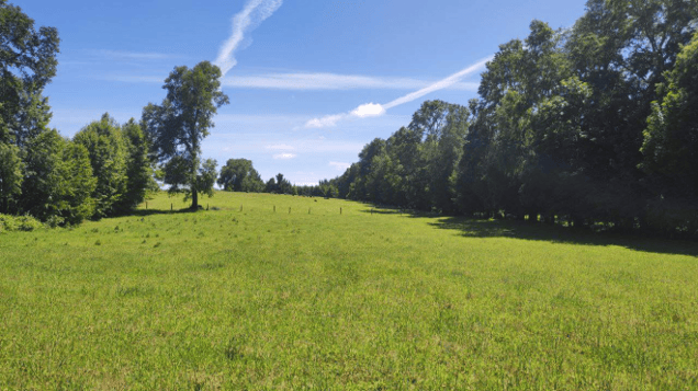 Parcela de Agrado en Pitrufquén - Parcelas en venta a 20 kms. de Villarrica (9373)-1 Parcela de Agrado en Pitrufquén - Parcelas en venta a 20 kms. de Villarrica (9373)-1