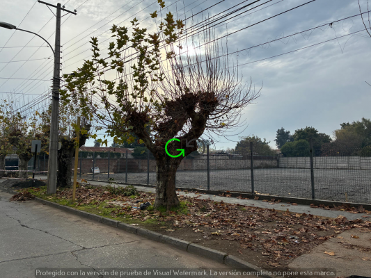 Terreno en Curicó - VENTA DE SITIO URBANO DE 2100 M2 EN CENTRO DE C...-1 Terreno en Curicó - VENTA DE SITIO URBANO DE 2100 M2 EN CENTRO DE C...-1
