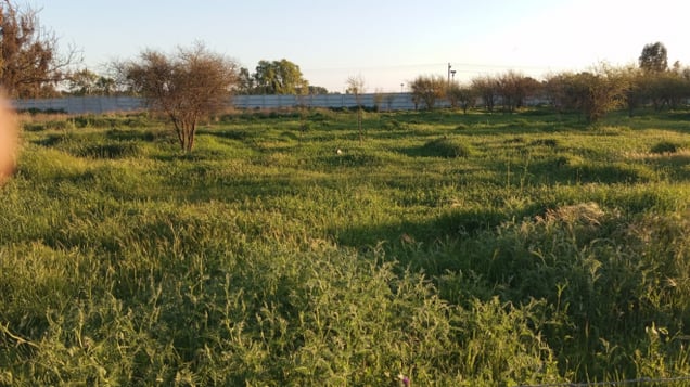 Terreno en Linares - 500127-1 Terreno en Linares - 500127-1