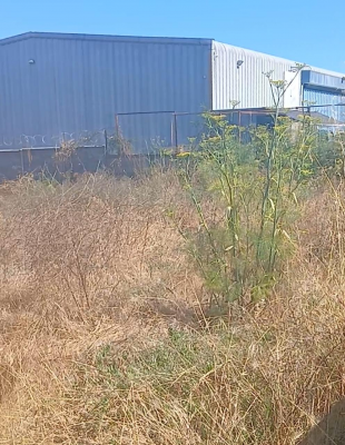 Terreno en San Pedro de la Paz - VENTA TERRENO - SITIO 1091MTS San Pedro De La Paz-1 Terreno en San Pedro de la Paz - VENTA TERRENO - SITIO 1091MTS San Pedro De La Paz-1