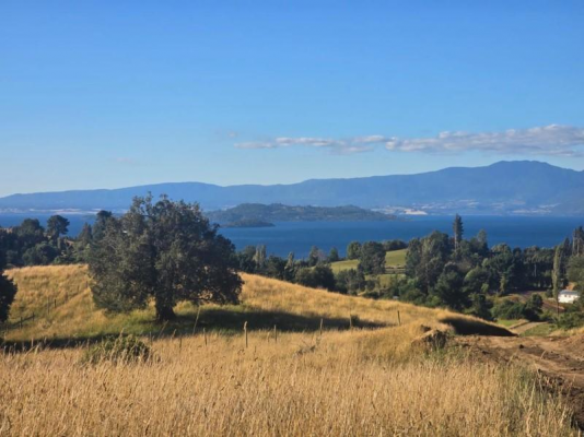 Parcela de Agrado en Lago Ranco - VENTA PARCELA 10000MTS Lago Ranco-1 Parcela de Agrado en Lago Ranco - VENTA PARCELA 10000MTS Lago Ranco-1
