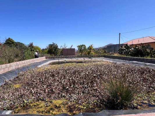 Parcela de Agrado en La Serena - Terreno Ideal para Proyectos de Inversión (158348)-1 Parcela de Agrado en La Serena - Terreno Ideal para Proyectos de Inversión (158348)-1