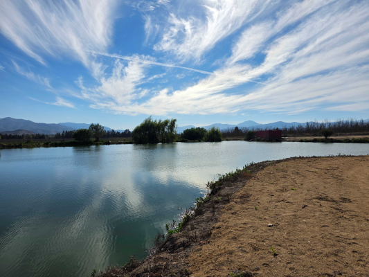 Parcela de Agrado en Melipilla - Parcelas Con Luz y Agua! (162511)-1 Parcela de Agrado en Melipilla - Parcelas Con Luz y Agua! (162511)-1