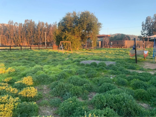 Terreno en Casablanca - 505395-1 Terreno en Casablanca - 505395-1