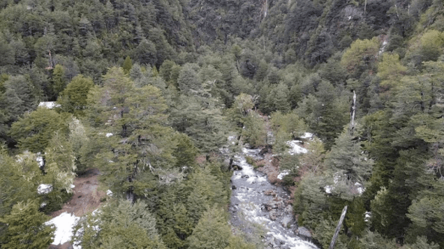 Terreno en Melipeuco - VENTA PARCELA PARA CREAR PROYECTO TURISTICO MEL...-1 Terreno en Melipeuco - VENTA PARCELA PARA CREAR PROYECTO TURISTICO MEL...-1