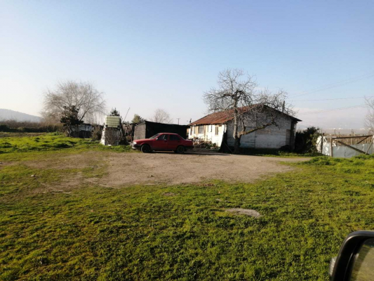 Terreno en Requínoa - Oportunidad terreno agrícola Requínoa (167441)-1 Terreno en Requínoa - Oportunidad terreno agrícola Requínoa (167441)-1