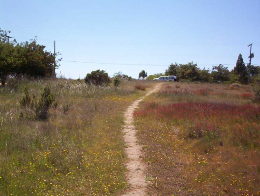 Terreno en Algarrobo - Terreno con Excelente Conectividad a playa (16...-1 Terreno en Algarrobo - Terreno con Excelente Conectividad a playa (16...-1
