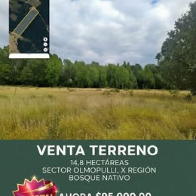 Terreno en Maullín - Se vende 14.8 ha, Maullin-1 Terreno en Maullín - Se vende 14.8 ha, Maullin-1