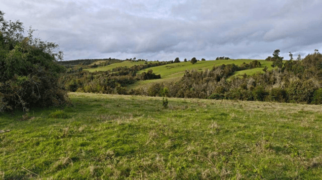 Parcela de Agrado en Maullín - Campo de 3 há subdividido en 6 lotes (143214)-1 Parcela de Agrado en Maullín - Campo de 3 há subdividido en 6 lotes (143214)-1