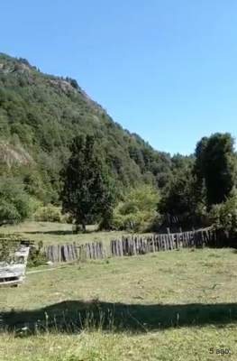 Terreno en Pucón - HERMOSO CAMPO CERCANO A TERMAS DE SAN SEBASTIÁN-1 Terreno en Pucón - HERMOSO CAMPO CERCANO A TERMAS DE SAN SEBASTIÁN-1