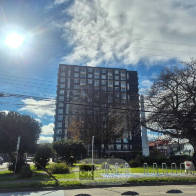 Departamento en Valdivia - Departamento en centro de Valdivia (169338)-1 Departamento en Valdivia - Departamento en centro de Valdivia (169338)-1
