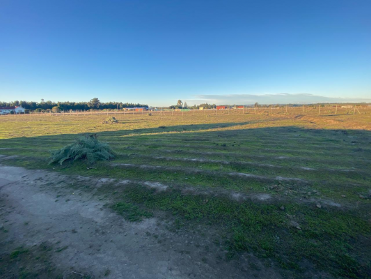 Terreno en Santo Domingo - SE VENDE PARCELA EN EL SECTOR DEL YALI, SANTO D...-1 Terreno en Santo Domingo - SE VENDE PARCELA EN EL SECTOR DEL YALI, SANTO D...-1