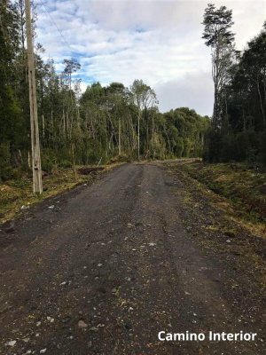 Parcela de Agrado en Puerto Varas - PARCELA 5100 M2 EN VENTA, CON BOSQUE NATIVO, PU...-1 Parcela de Agrado en Puerto Varas - PARCELA 5100 M2 EN VENTA, CON BOSQUE NATIVO, PU...-1