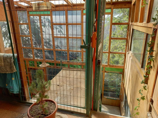Casa en Valparaíso - Casa jardin en el corazon del Cerro Alegre (169...-1 Casa en Valparaíso - Casa jardin en el corazon del Cerro Alegre (169...-1