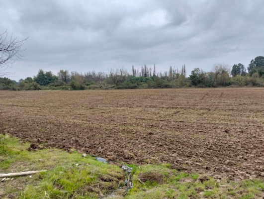 Terreno en Colbún - 27,5 HA CON AGUA EXCELENTE UBICACIÓN, HERMOSO E...-1 Terreno en Colbún - 27,5 HA CON AGUA EXCELENTE UBICACIÓN, HERMOSO E...-1