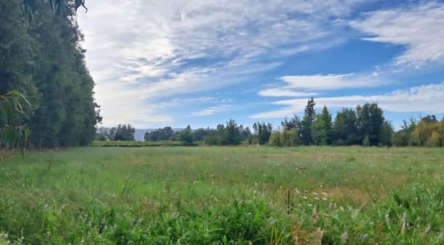 Parcela de Agrado en Molina - VENTA DE PARCELA, 5000MT2 DE TERRENO, CAMINO SA...-1 Parcela de Agrado en Molina - VENTA DE PARCELA, 5000MT2 DE TERRENO, CAMINO SA...-1
