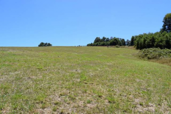 Parcela de Agrado en Villarrica - Parcela con vista al volcán y acceso a lago (16...-1 Parcela de Agrado en Villarrica - Parcela con vista al volcán y acceso a lago (16...-1