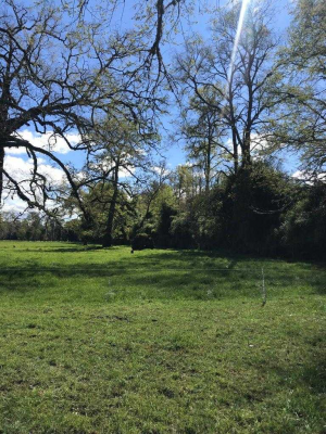 Terreno en Puyehue - Exclusivo Proyecto // 5.000 m2 (99135)-1 Terreno en Puyehue - Exclusivo Proyecto // 5.000 m2 (99135)-1