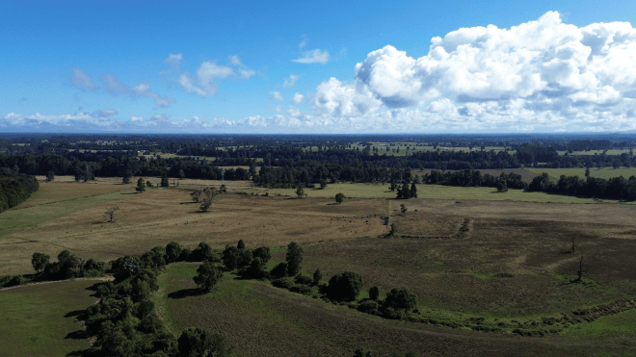 Terreno en Puyehue - Amplia Propiedad Agricola Puyehue (171450)-1 Terreno en Puyehue - Amplia Propiedad Agricola Puyehue (171450)-1