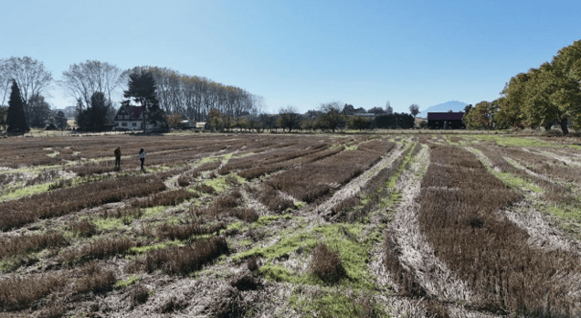 Terreno en Puerto Varas - 15300M2 TERRENO PLANO EN NUEVA BRAUNAU-1 Terreno en Puerto Varas - 15300M2 TERRENO PLANO EN NUEVA BRAUNAU-1