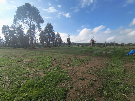 Parcela de Agrado en San Nicolás - PARCELA DE 5000 METROS CON CASA SAN NICOLAS-1 Parcela de Agrado en San Nicolás - PARCELA DE 5000 METROS CON CASA SAN NICOLAS-1