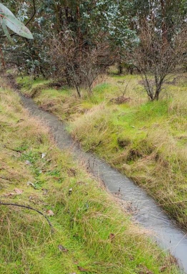 Terreno en San Nicolás - VENTA TERRENO - SITIO 50000MTS SAN NICOLÁS-1 Terreno en San Nicolás - VENTA TERRENO - SITIO 50000MTS SAN NICOLÁS-1