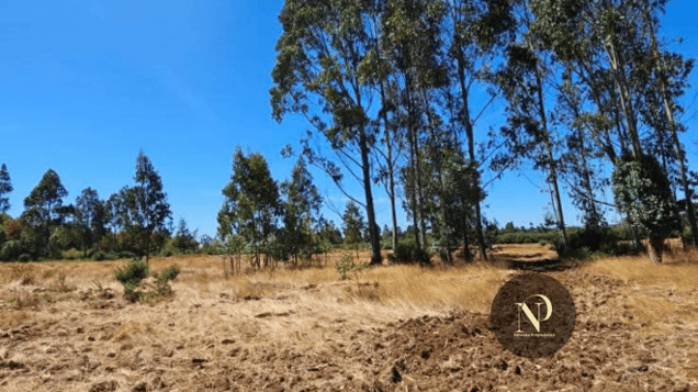 Terreno en Pitrufquén - ENP1-1 Terreno en Pitrufquén - ENP1-1