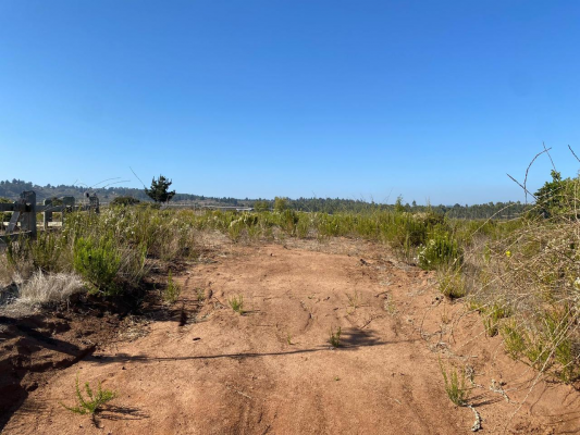 Parcela de Agrado en Algarrobo - VENTA DE PARCELA EN CONDOMINIO SAN GERÓNIMO, AL...-1 Parcela de Agrado en Algarrobo - VENTA DE PARCELA EN CONDOMINIO SAN GERÓNIMO, AL...-1