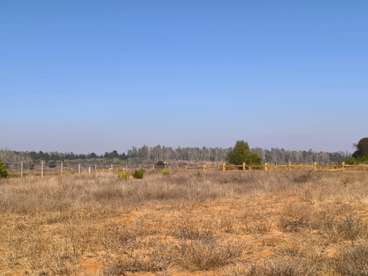 Parcela de Agrado en Algarrobo - VENTA DE PARCELA EN CONDOMINIO SAN GERÓNIMO, AL...-1 Parcela de Agrado en Algarrobo - VENTA DE PARCELA EN CONDOMINIO SAN GERÓNIMO, AL...-1