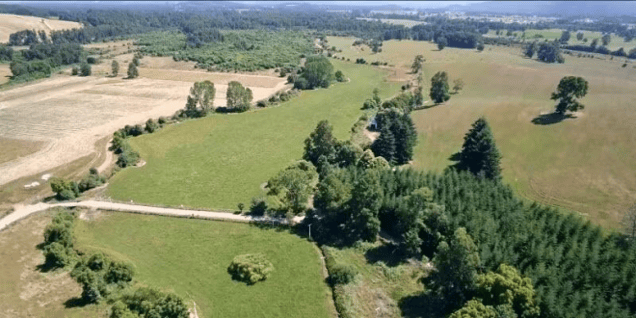 Parcela de Agrado en Los Lagos - CAMPO GANADERO DE 88 HECTÁREAS EN LOS LAGOS-1 Parcela de Agrado en Los Lagos - CAMPO GANADERO DE 88 HECTÁREAS EN LOS LAGOS-1