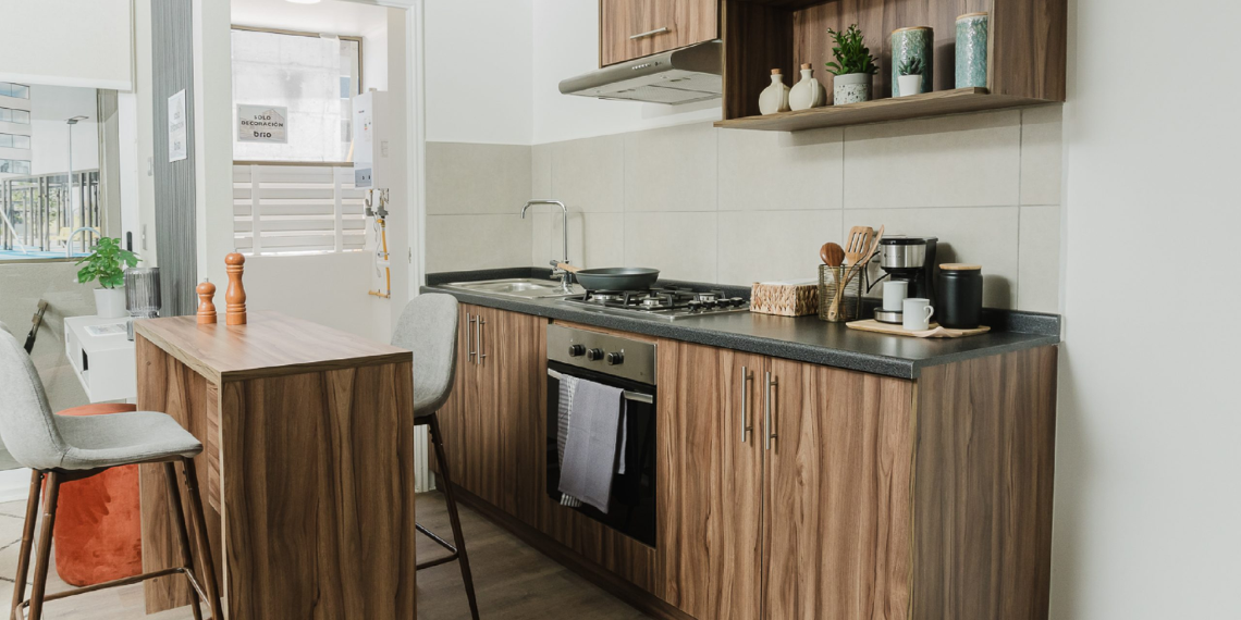 Proyecto Parrones de Baquedano de Inmobiliaria Brio-5